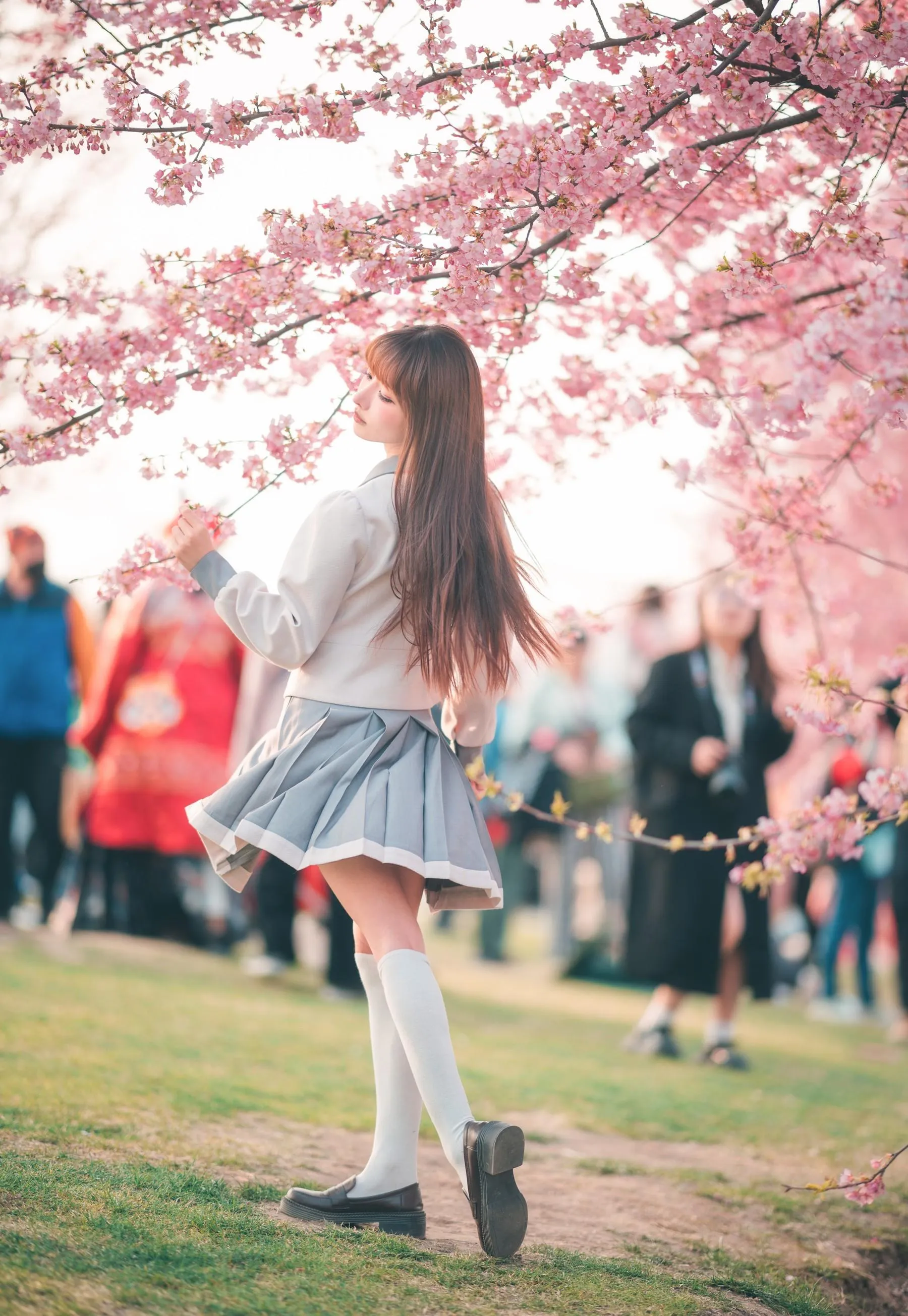 紫氯氯 – NO.03 樱花下的JK少女 [19P]插图6